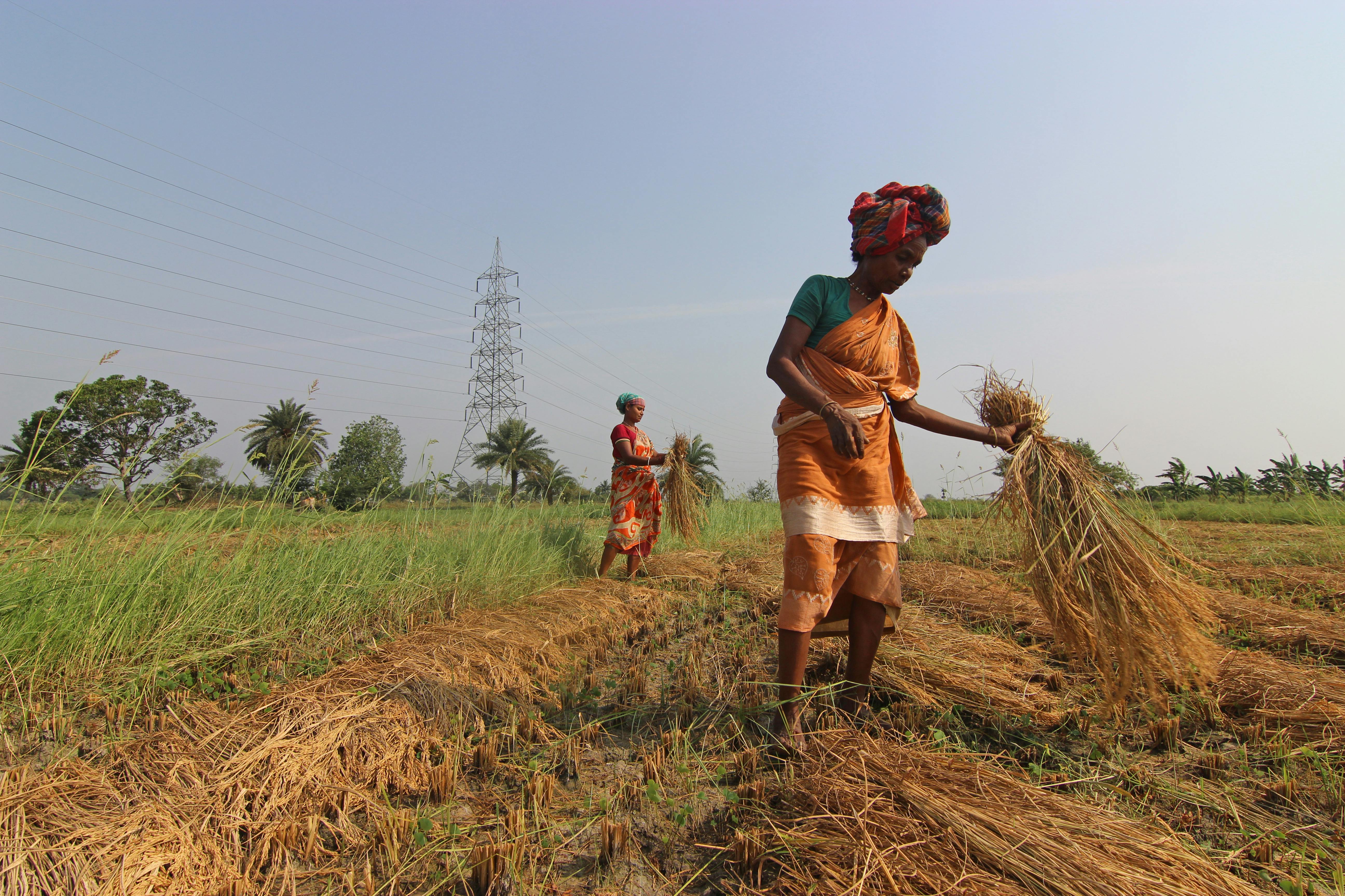 Rural farming community in Angola